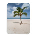 Search for aruba magnets Lesser antilles