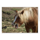 Search for laughing horse postcards Smile