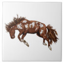 Search for rodeo tiles Bucking