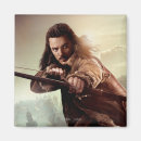Search for bard magnets Gandlaf