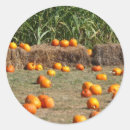 Search for hay stickers Autumn