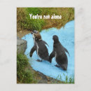 Search for alone vertical postcards Animal