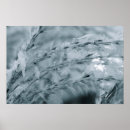 Search for frost photography White