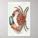 Search for john wilde posters Wildlife
