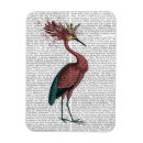 Search for crows magnets Animals