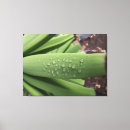Search for drop leafs art Nature photography