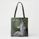 Search for ring tailed bags Primate