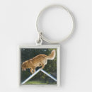 Search for skilled key rings Agility