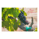 Search for grapevine art Fruit