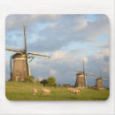 Search for sheeps mouse mats Nature
