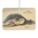 Search for hawaiian car air fresheners Ocean