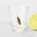 Search for funny roach Prank