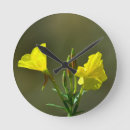 Search for primrose flowers posters Garden