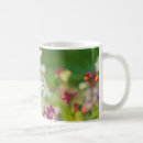 Search for fragrance mugs Flower