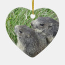 Search for groundhog christmas tree decorations Animals