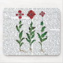 Search for carnation electronics Animals