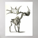 Search for natural history posters Nature