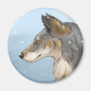 Search for timber wolf magnets Snow