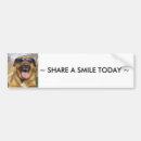 Search for sunglasses bumper stickers Cute