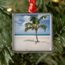 Search for islands christmas tree decorations Beach