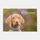 Search for hungarian vizsla gifts Puppy