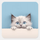 Search for ragdoll cats stickers Kitten