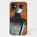 Search for swallow iphone cases Wildlife