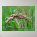 Search for depth of field art Blur