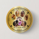 Search for paw badges In loving memory