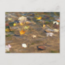 Search for water fall postcards Autumn