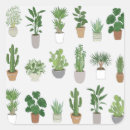 Search for indoor stickers Plant