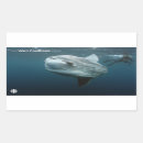 Search for documentary stickers Docs