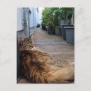 Search for housewarming cards Moving