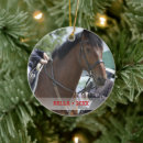 Search for horse christmas tree decorations Pony
