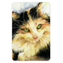 Search for calico magnets Watercolor