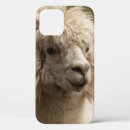 Search for lama iphone cases Animal
