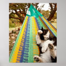 Search for cat lying down posters Vertical
