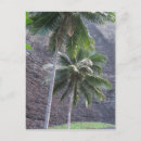Search for kauai postcards Pali