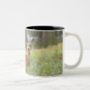 Search for selective focus mugs Horizontal
