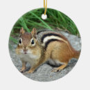 Search for squirrel christmas tree decorations animal