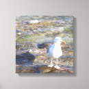 Search for cornwall posters gallery art Cornish