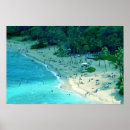 Search for hanauma posters Nature