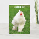 Search for rooster cards Humour