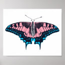 Search for transgender pride flag posters Queer