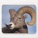 Search for steve mouse mats Fauna