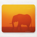 Search for kenya gifts Wildlife
