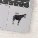 Search for zebra laptop cases Africa