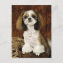 Search for tiny postcards Brown