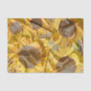 Search for sunflower decoupage tissue paper Gold