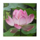 Search for lotus tiles Nature